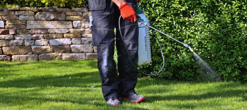 Weed Prevention Service in Rockwall, TX