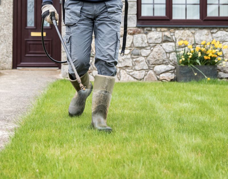 Lawn Care And Landscaping