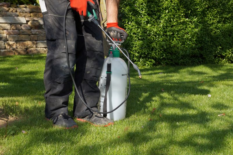 Crabgrass Removal in Honolulu, HI