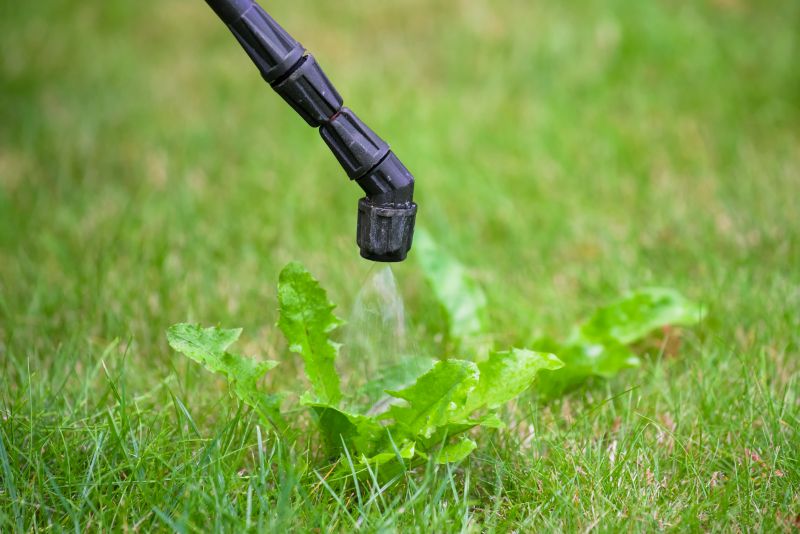 Crabgrass Removal in Honolulu, HI