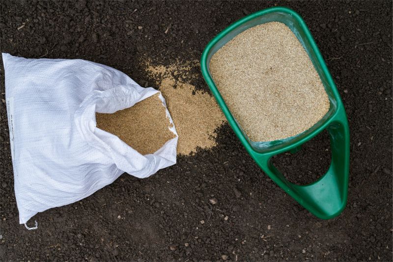 Fall Lawn Seeding in Honolulu, HI