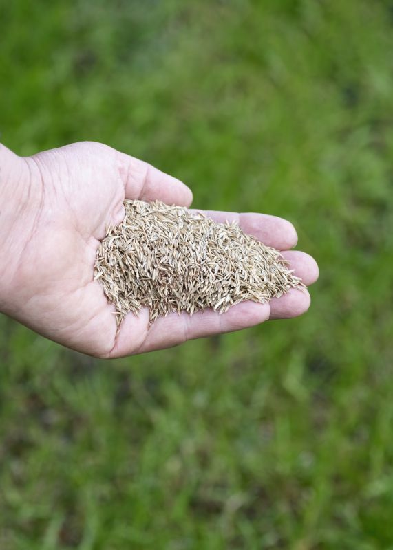 Grass Seed Installation in Honolulu, HI