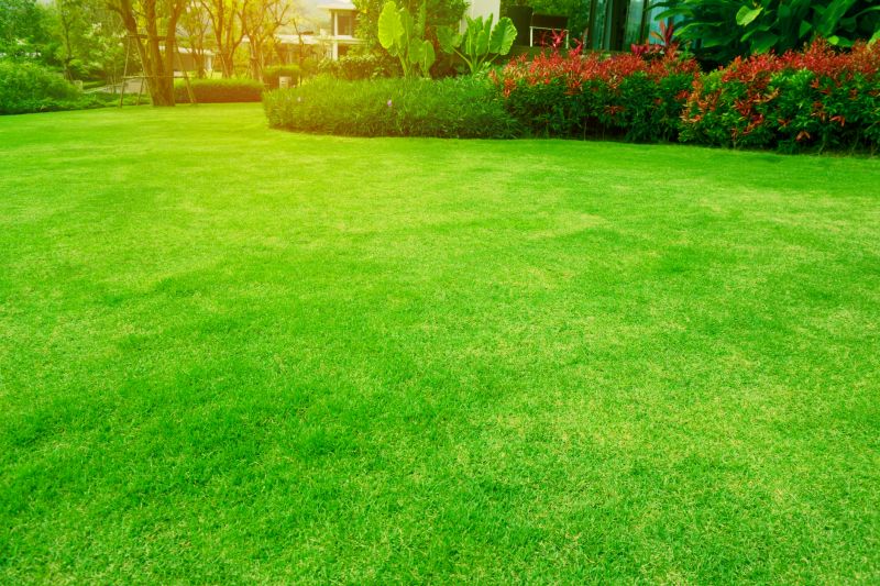 Lawn Care And Landscaping