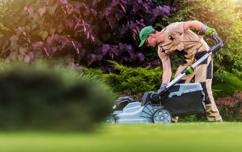 Lawn Care And Landscaping
