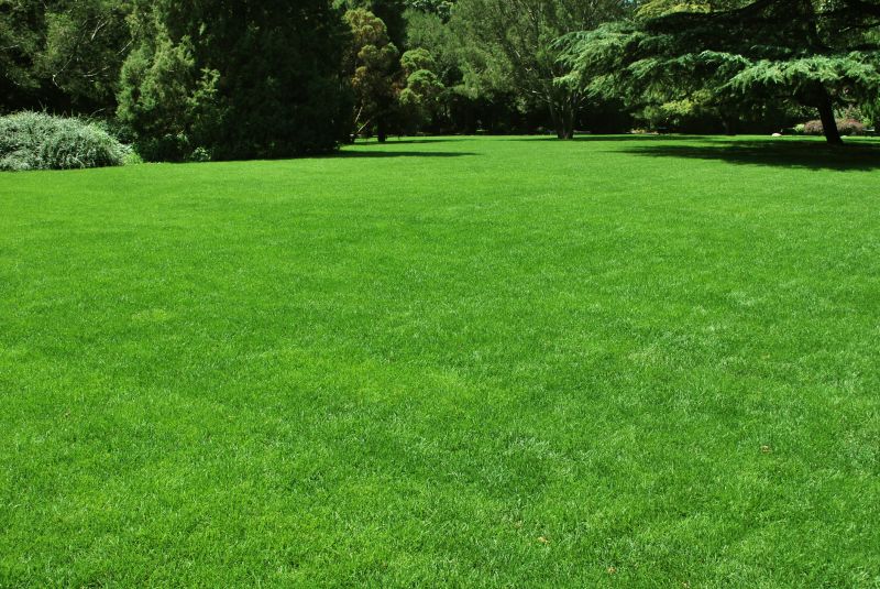 Lawn Care And Landscaping