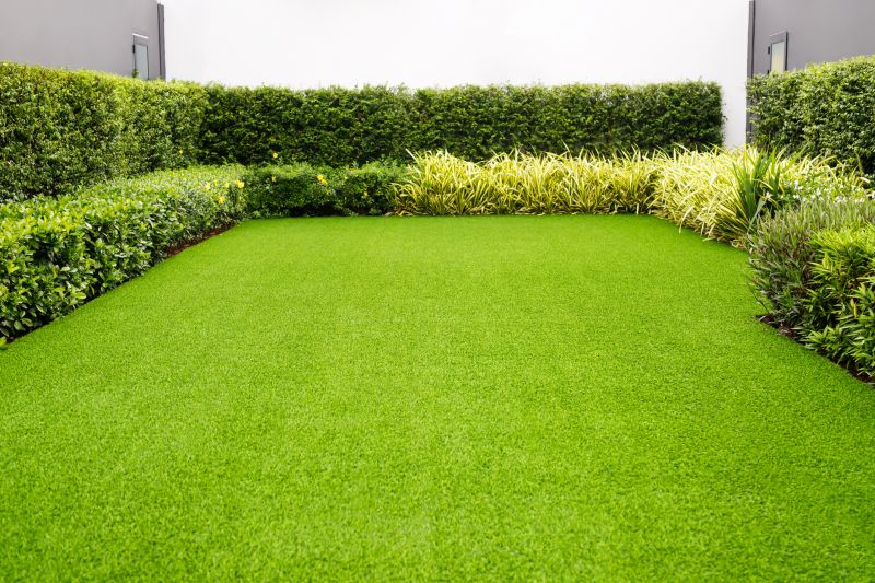 Lush Lawn After Care