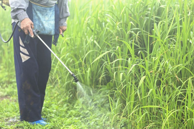 Lawn Herbicide Treatment in Ventura County, CA