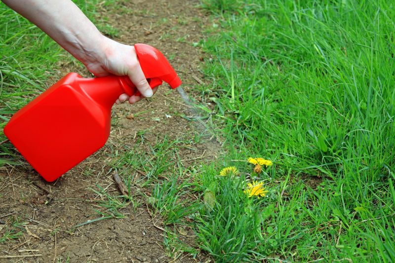 Lawn Herbicide Treatment in Aiken, SC