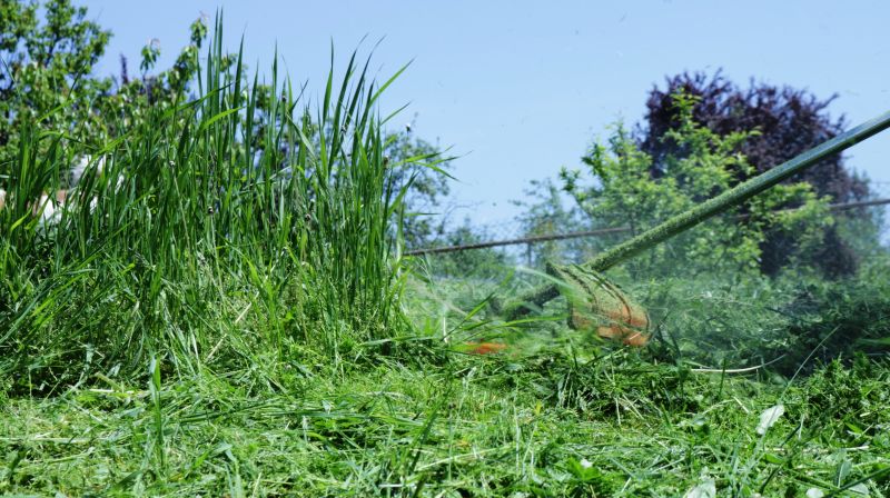 Lawn Trimming in Bowie, MD