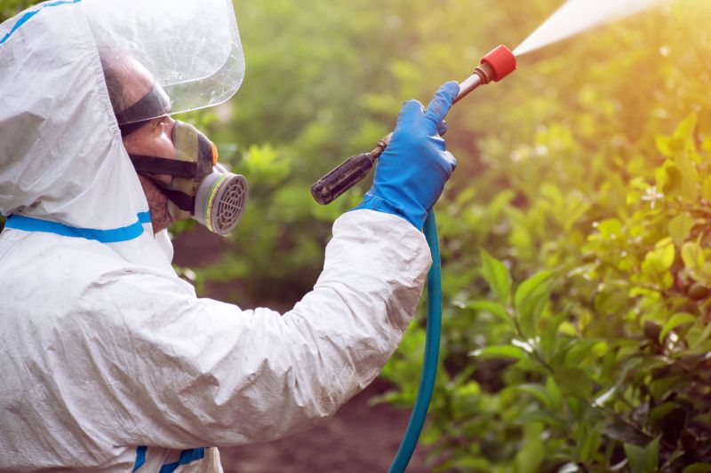 Lawn Weed Control in Rockwall, TX
