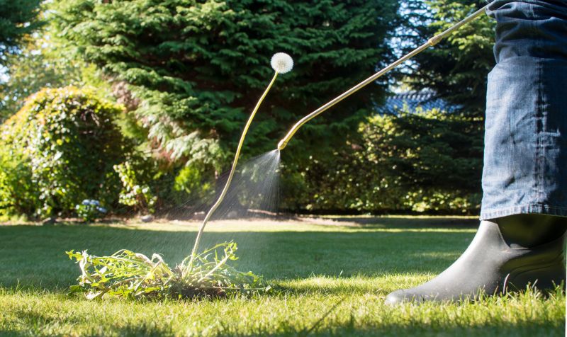 Lawn Weed Treatment in Ventura County, CA