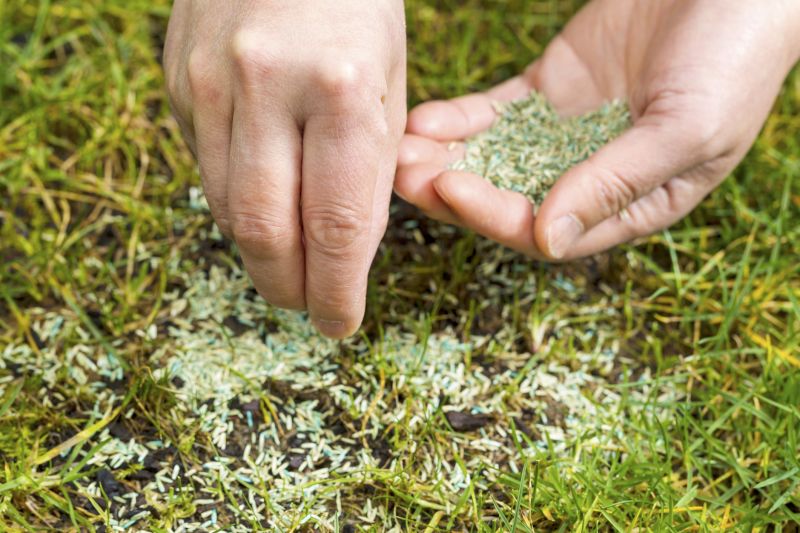 New Lawn Seeding in Ventura County, CA
