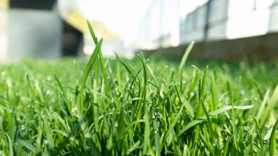 Residential Lawn Fertilizing in Ventura County, CA