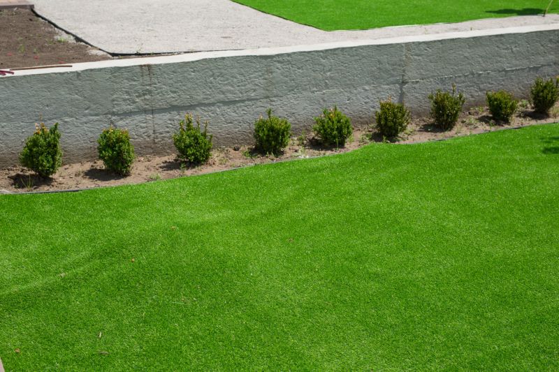 Spring Lawn Treatment in Ventura County, CA
