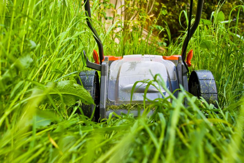 Tall Grass Cutting in Bowie, MD