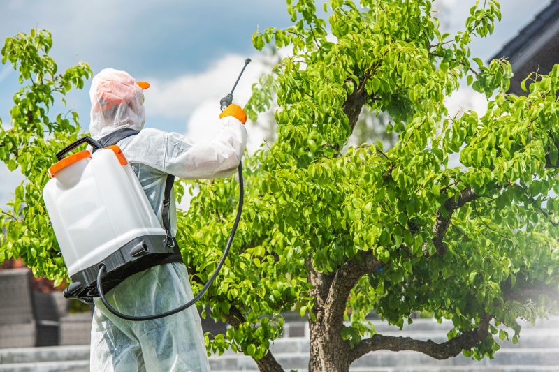 Weed Prevention Service in Aiken, SC