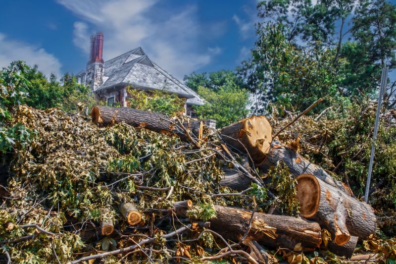 Wood Pile Removal in Honolulu, HI