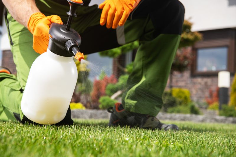 Yard Treatment Service in Ventura County, CA